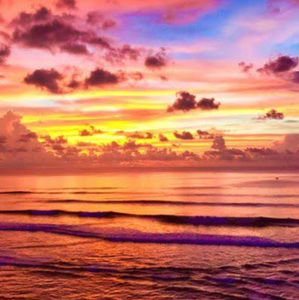 Meet your Posher, Abigail